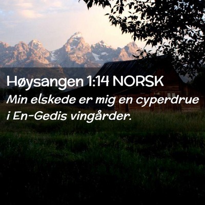 Picture 02 - Høysangen 1:14 NORSK - Min elskede er mig en cyperdrue i En-Gedis - Bible Verse Picture
