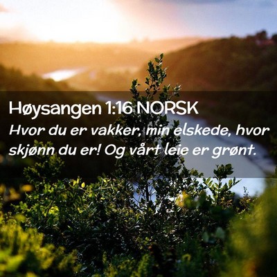 Picture 02 - Høysangen 1:16 NORSK - Hvor du er vakker, min elskede, hvor skjønn du - Bible Verse Picture