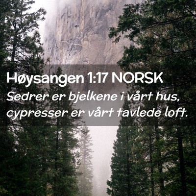 Picture 02 - Høysangen 1:17 NORSK - Sedrer er bjelkene i vårt hus, cypresser er - Bible Verse Picture