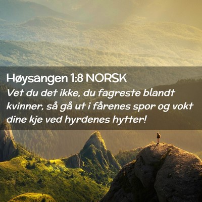 Picture 02 - Høysangen 1:8 NORSK - Vet du det ikke, du fagreste blandt kvinner, så - Bible Verse Picture