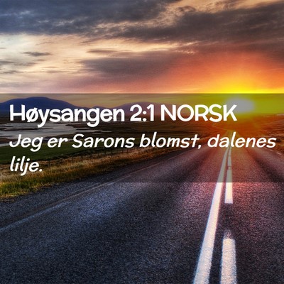 Picture 02 - Høysangen 2:1 NORSK - Jeg er Sarons blomst, dalenes - Bible Verse Picture