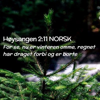 Picture 02 - Høysangen 2:11 NORSK - For se, nu er vinteren omme, regnet har draget - Bible Verse Picture
