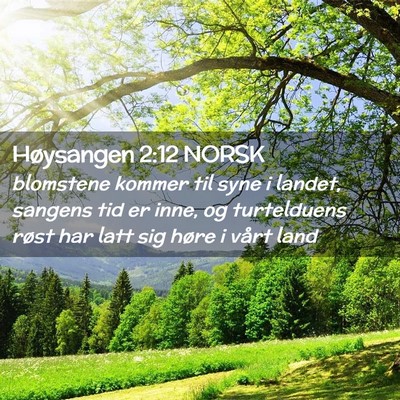 Picture 02 - Høysangen 2:12 NORSK - blomstene kommer til syne i landet, sangens tid - Bible Verse Picture