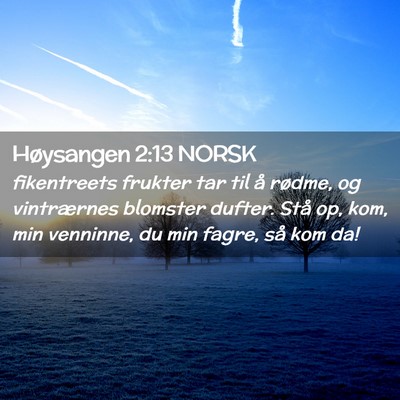 Picture 02 - Høysangen 2:13 NORSK - fikentreets frukter tar til å rødme, og - Bible Verse Picture