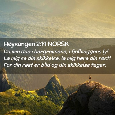 Picture 02 - Høysangen 2:14 NORSK - Du min due i bergrevnene, i fjellveggens ly! La - Bible Verse Picture
