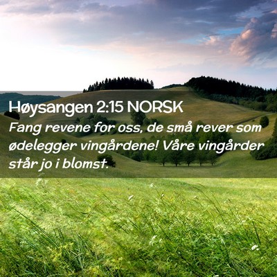 Picture 02 - Høysangen 2:15 NORSK - Fang revene for oss, de små rever som ødelegger - Bible Verse Picture