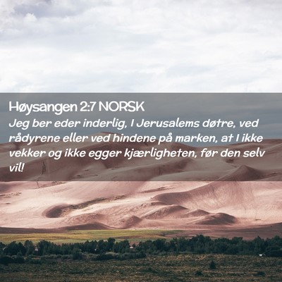 Picture 02 - Høysangen 2:7 NORSK - Jeg ber eder inderlig, I Jerusalems døtre, ved - Bible Verse Picture