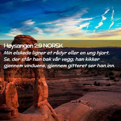 Picture 02 - Høysangen 2:9 NORSK - Min elskede ligner et rådyr eller en ung hjort. - Bible Verse Picture