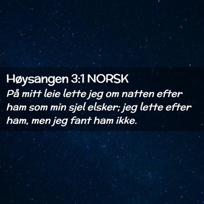 Picture 02 - Høysangen 3:1 NORSK - På mitt leie lette jeg om natten efter ham som - Bible Verse Picture