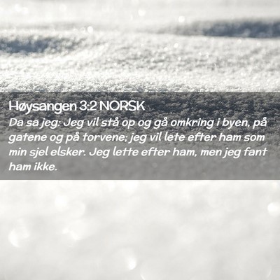 Picture 02 - Høysangen 3:2 NORSK - Da sa jeg: Jeg vil stå op og gå omkring i byen, - Bible Verse Picture
