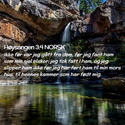Picture 02 - Høysangen 3:4 NORSK - Ikke før var jeg gått fra dem, før jeg fant - Bible Verse Picture