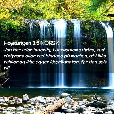 Picture 02 - Høysangen 3:5 NORSK - Jeg ber eder inderlig, I Jerusalems døtre, ved - Bible Verse Picture