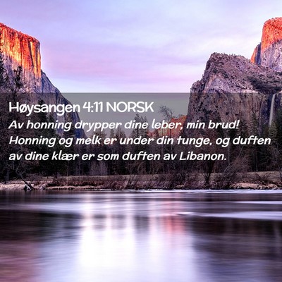 Picture 02 - Høysangen 4:11 NORSK - Av honning drypper dine leber, min brud! Honning - Bible Verse Picture