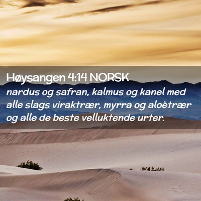 Picture 02 - Høysangen 4:14 NORSK - nardus og safran, kalmus og kanel med alle slags - Bible Verse Picture