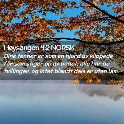 Picture 02 - Høysangen 4:2 NORSK - Dine tenner er som en hjord av klippede får som - Bible Verse Picture