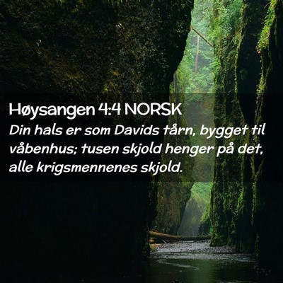 Picture 02 - Høysangen 4:4 NORSK - Din hals er som Davids tårn, bygget til - Bible Verse Picture