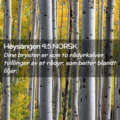 Picture 02 - Høysangen 4:5 NORSK - Dine bryster er som to rådyrkalver, tvillinger - Bible Verse Picture