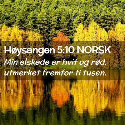 Picture 02 - Høysangen 5:10 NORSK - Min elskede er hvit og rød, utmerket fremfor ti - Bible Verse Picture