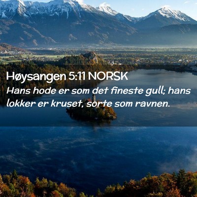 Picture 02 - Høysangen 5:11 NORSK - Hans hode er som det fineste gull; hans lokker er - Bible Verse Picture