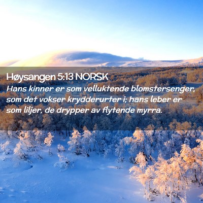 Picture 02 - Høysangen 5:13 NORSK - Hans kinner er som velluktende blomstersenger, - Bible Verse Picture