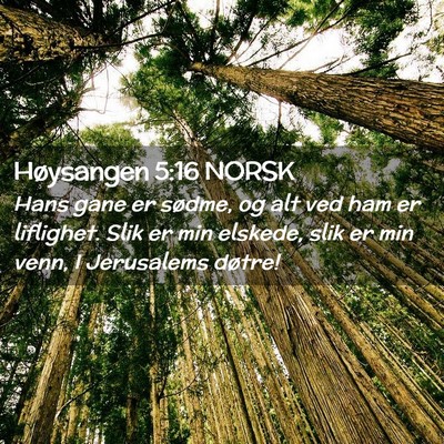 Picture 02 - Høysangen 5:16 NORSK - Hans gane er sødme, og alt ved ham er liflighet. - Bible Verse Picture