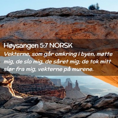 Picture 02 - Høysangen 5:7 NORSK - Vekterne, som går omkring i byen, møtte mig, de - Bible Verse Picture