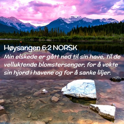 Picture 02 - Høysangen 6:2 NORSK - Min elskede er gått ned til sin have, til de - Bible Verse Picture