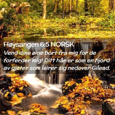 Picture 02 - Høysangen 6:5 NORSK - Vend dine øine bort fra mig for de forferder - Bible Verse Picture