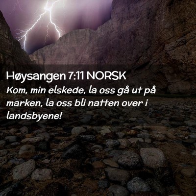 Picture 02 - Høysangen 7:11 NORSK - Kom, min elskede, la oss gå ut på marken, la - Bible Verse Picture