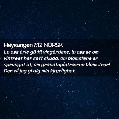 Picture 02 - Høysangen 7:12 NORSK - La oss årle gå til vingårdene, la oss se om - Bible Verse Picture