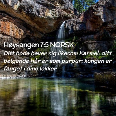 Picture 02 - Høysangen 7:5 NORSK - Ditt hode hever sig likesom Karmel; ditt - Bible Verse Picture