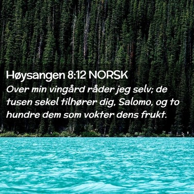 Picture 02 - Høysangen 8:12 NORSK - Over min vingård råder jeg selv; de tusen sekel - Bible Verse Picture