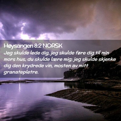 Picture 02 - Høysangen 8:2 NORSK - Jeg skulde lede dig, jeg skulde føre dig til min - Bible Verse Picture