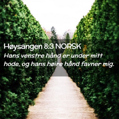 Picture 02 - Høysangen 8:3 NORSK - Hans venstre hånd er under mitt hode, og hans - Bible Verse Picture