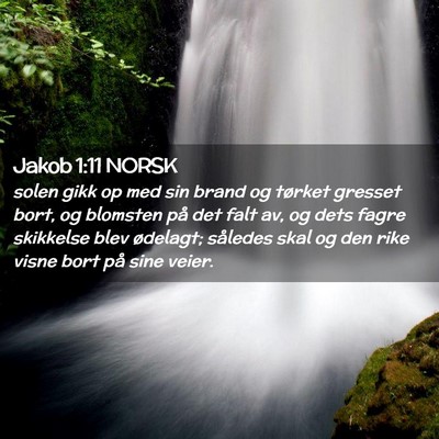 Picture 02 - Jakob 1:11 NORSK - solen gikk op med sin brand og tørket gresset - Bible Verse Picture