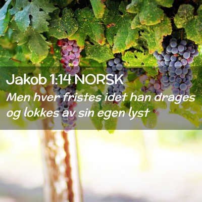 Picture 02 - Jakob 1:14 NORSK - Men hver fristes idet han drages og lokkes av sin - Bible Verse Picture