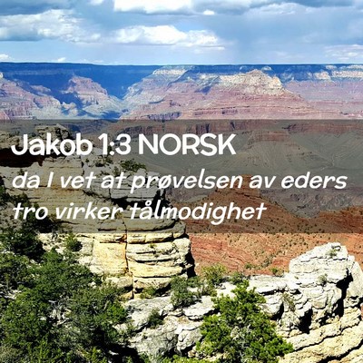 Picture 02 - Jakob 1:3 NORSK - da I vet at prøvelsen av eders tro virker - Bible Verse Picture