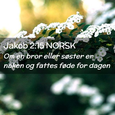 Picture 02 - Jakob 2:15 NORSK - Om en bror eller søster er naken og fattes føde - Bible Verse Picture