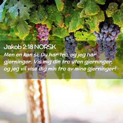 Picture 02 - Jakob 2:18 NORSK - Men en kan si: Du har tro, og jeg har gjerninger. - Bible Verse Picture