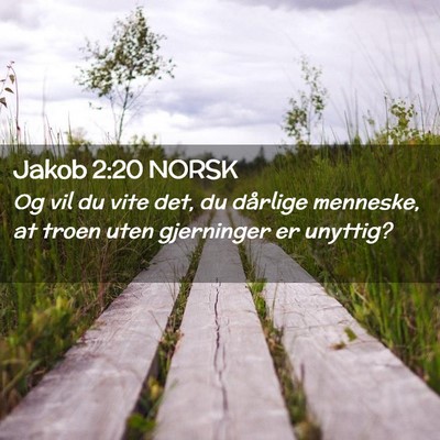 Picture 02 - Jakob 2:20 NORSK - Og vil du vite det, du dårlige menneske, at - Bible Verse Picture