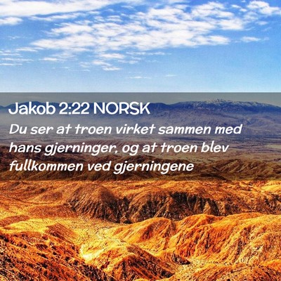 Picture 02 - Jakob 2:22 NORSK - Du ser at troen virket sammen med hans - Bible Verse Picture