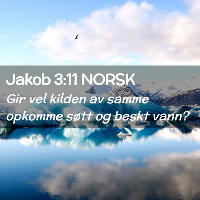 Picture 02 - Jakob 3:11 NORSK - Gir vel kilden av samme opkomme søtt og beskt - Bible Verse Picture
