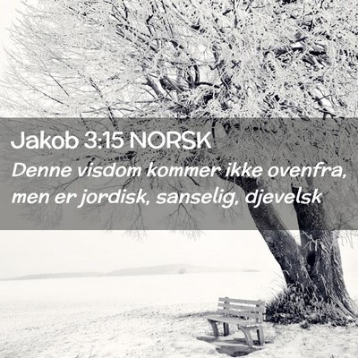 Picture 02 - Jakob 3:15 NORSK - Denne visdom kommer ikke ovenfra, men er jordisk, - Bible Verse Picture
