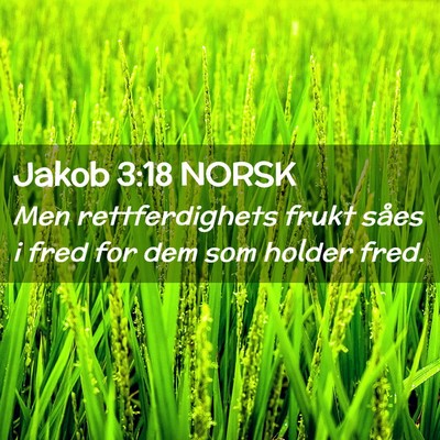 Picture 02 - Jakob 3:18 NORSK - Men rettferdighets frukt såes i fred for dem som - Bible Verse Picture