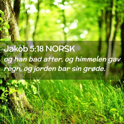 Picture 02 - Jakob 5:18 NORSK - og han bad atter, og himmelen gav regn, og jorden - Bible Verse Picture