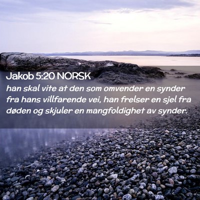 Picture 02 - Jakob 5:20 NORSK - han skal vite at den som omvender en synder fra - Bible Verse Picture
