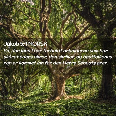 Picture 02 - Jakob 5:4 NORSK - Se, den lønn I har forholdt arbeiderne som har - Bible Verse Picture