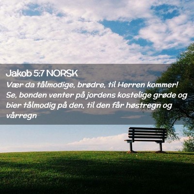 Picture 02 - Jakob 5:7 NORSK - Vær da tålmodige, brødre, til Herren kommer! - Bible Verse Picture
