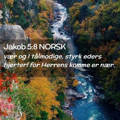 Picture 02 - Jakob 5:8 NORSK - vær og I tålmodige, styrk eders hjerter! for - Bible Verse Picture