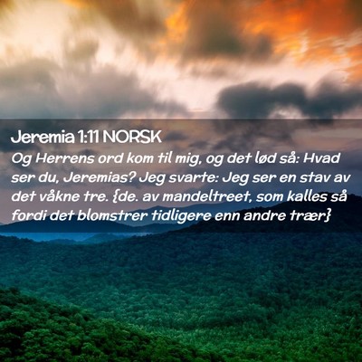 Picture 02 - Jeremia 1:11 NORSK - Og Herrens ord kom til mig, og det lød så: Hvad - Bible Verse Picture